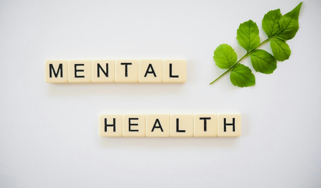 Mental Health Matters in Menopause: Why Care for Your Mind Is Just as Important